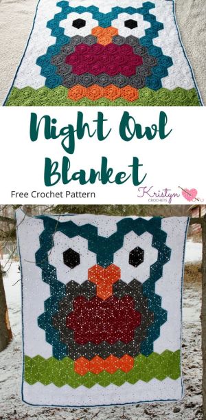 Night Owl Hexagon Crochet Blanket - best free crochet blanket patterns - www.feedourlife.blog