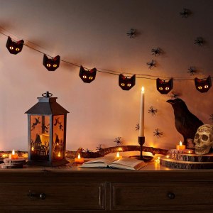 Halloween Black Cat String Lights x 15 (Amazon paid link)