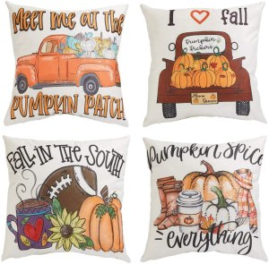 Pumpkin pillow covers 18x18 available from Amazon