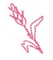Redwork Wheat Sprig FREE Machine Embroidery Design