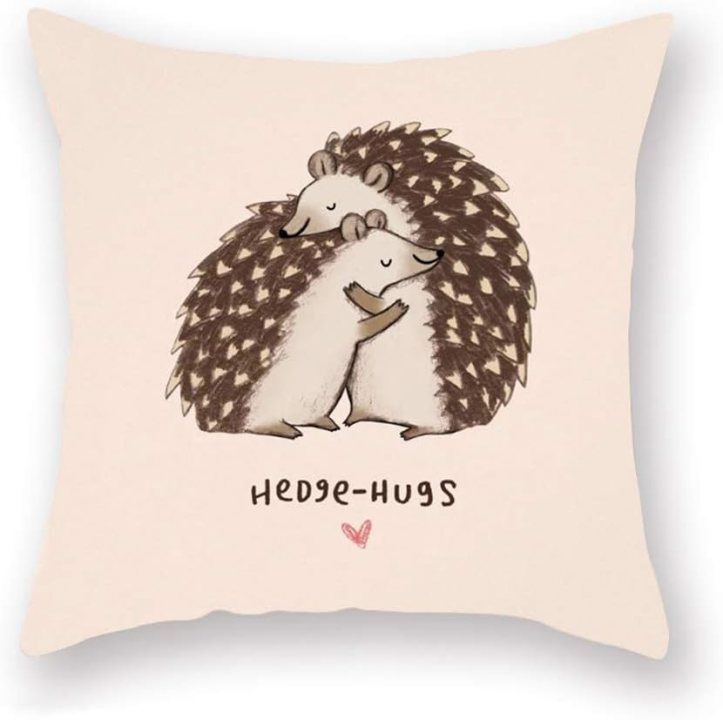 Hedgehog 18x18 inches pillow cover for friends and family! Available from Amazon